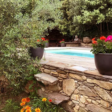 Spacieux - Piscine Et Pleine Nature *