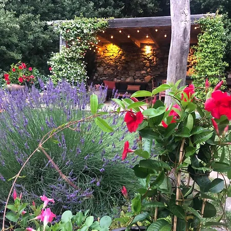 Hébergement de vacances Spacieux - Piscine Et Pleine Nature Mons (Herault)